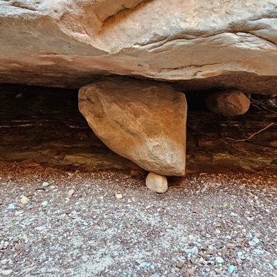 msgsfromafriend's profile picture. 