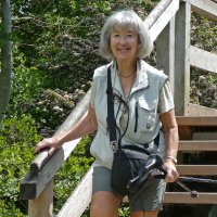YorkshireLass (@maureenplatts) 's Twitter Profile Photo YorkshireLass (@maureenplatts) 's Twitter Profile Photo
