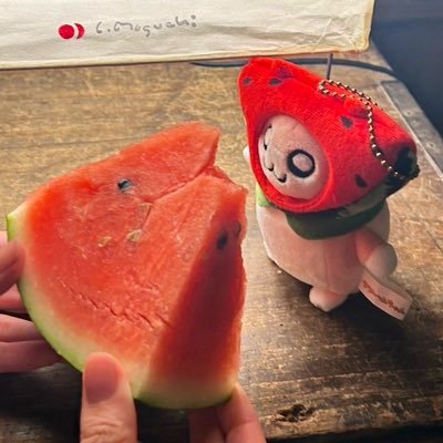 名前はでんでんと読みます！成人済社会人です◎ クソハムちゃんの可愛さを全力で広め隊🐹&ウマ娘(シンボリルドルフ&エアシャカール最推し)を中心に、グッズ取引と情報収集をメインにする弱小アカウントです。ツイフィの内容はあまりないよう