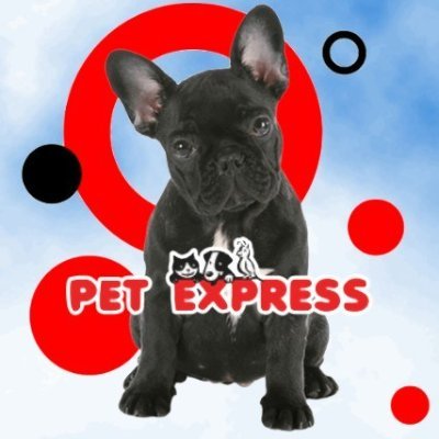 Family owned & operated.
Connecting people with pets since 1995.
Locations in Saugus & Braintree, MA