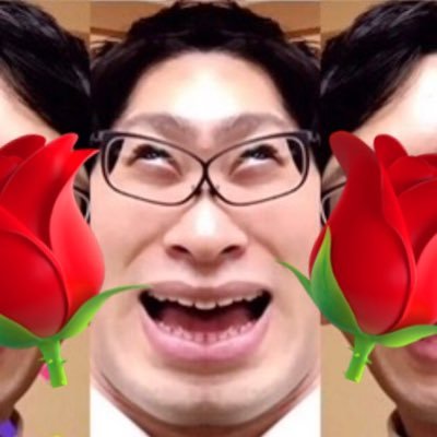 猫派