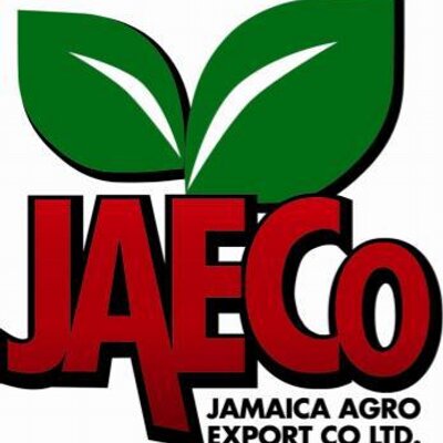 JAE. CO. LTD : storets | Free shipping worldwide for orders over $75!