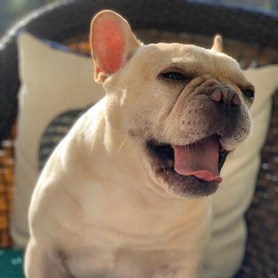 njmtpa's profile picture. “Everywhere immigrants have enriched and strengthen the fabric of American life”. John F Kennedy, 1958