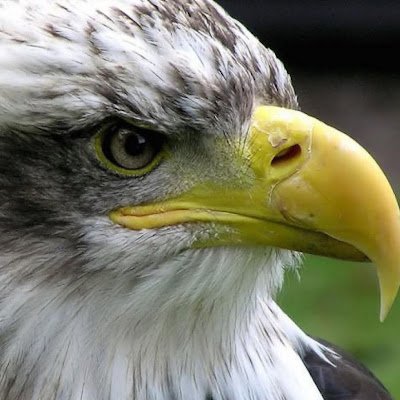 ArifKha00411876's profile picture. 
