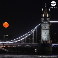 Shallifer (@shallifer) 's Twitter Profile