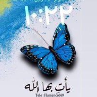 الحمدلله (@iee213) 's Twitter Profile