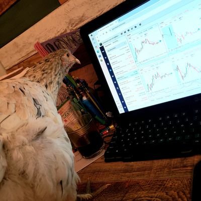 Early 🐓 catches the worm. I'm all about those stocks. Trading by day, crowing by night. Feathers ruffled by bear markets, but always bullish! #ChickenStocks
