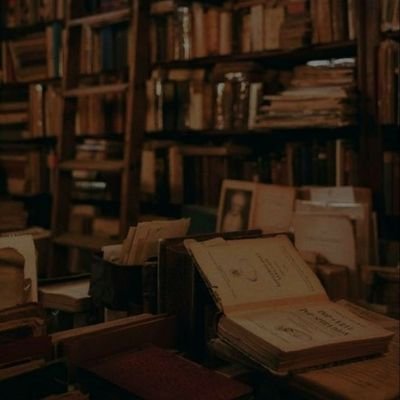 alaaAlwesa1477's profile picture. 