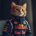 Max Verstappen's cat DONATELLO (@catdonatello) Twitter profile photo Max Verstappen's cat DONATELLO (@catdonatello) Twitter profile photo