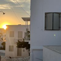 P (@pablo73187435) 's Twitter Profile