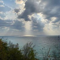 Stef B. 💁🏼‍♀️ (@stefcapy) 's Twitter Profile