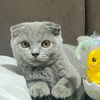 Jonathan_Chen (@jonathan_chen89) 's Twitter Profile