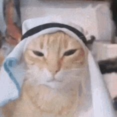 Torikari_'s profile picture. Account used to share blender related stuff, minimal retweets & interations, sorry if I don't reply.