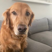 Teresa Slaman (@teresas42404) 's Twitter Profile