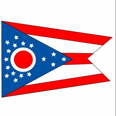 Second amendment and child welfare advocate. Legislation junkie. Standardbred afficionado. F1 fan. Swimmer. Buckeye!