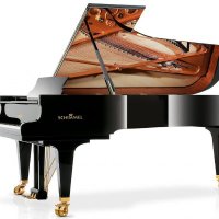 PlaytonicNotes (@playtonicnotes) 's Twitter Profile Photo