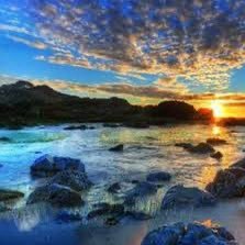 thetreybergschn's profile picture. 