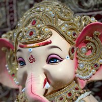 Thackrey Sena (@drhimangiraut) 's Twitter Profile