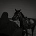 نوره| ᷂شيخة ᷂القبـــيله 🖤🐎 (@noona_otb) Twitter profile photo نوره| ᷂شيخة ᷂القبـــيله 🖤🐎 (@noona_otb) Twitter profile photo