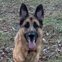 Scott Ray (@appturf) 's Twitter Profile