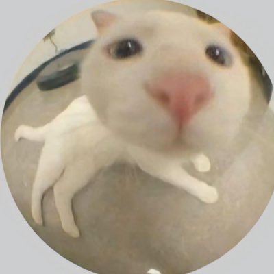 gracepommy's profile picture. get lost 🥱