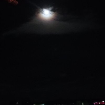 20Nuisance's profile picture. ML Gamer🥰🎮
Alter Follower, Supporter😅🥵