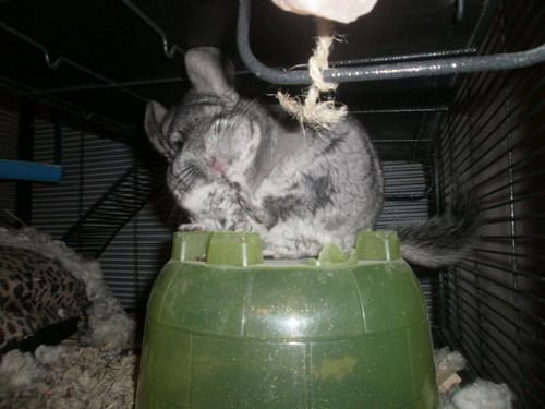 meep, please see location ^__^
Full name: Sir Charles Minaj. Love you! PLUR!