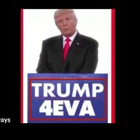 Trump4eva (@ja05851880) 's Twitter Profile