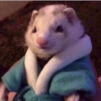 TomDenaros's profile picture. 