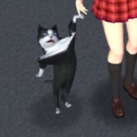 sakisan (@neko1nya) 's Twitter Profile