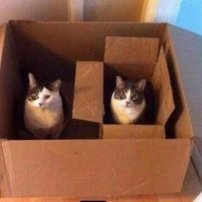 Marko0v11's profile picture. 