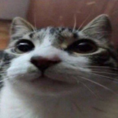 Mati15VG's profile picture. 