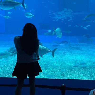 chimu_1128's profile picture. Pasionate about ⛳️、👦、🌺
Netherland🇳🇱