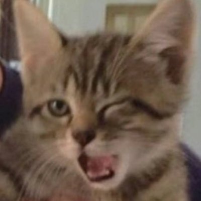 day4603's profile picture. lets go