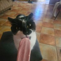 Pato - IVE ♥️ (@patoive) 's Twitter Profile