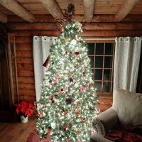 The Mean Christmas Tree (@sardonicjuniper) 's Twitter Profile
