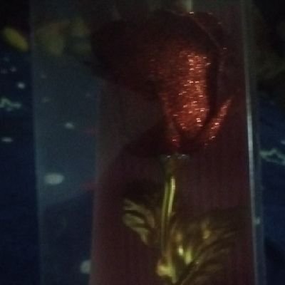 Janett193930's profile picture. 