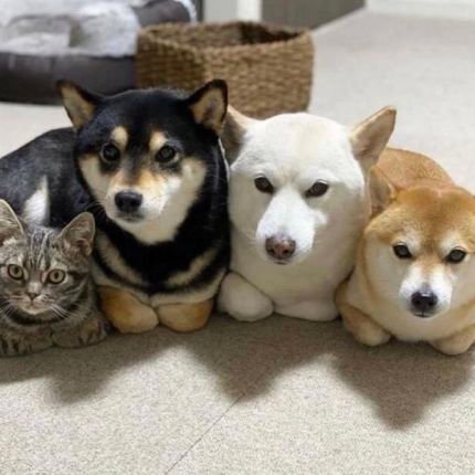 ken_peter1476's profile picture. it's very nice meeting you, 🤗
Let's make today memorable 😉👌