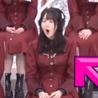 マスモトアクビ (@reina_hagrid) 's Twitter Profile