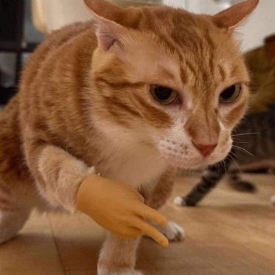 Lennyy_b's profile picture. ça dit quoi ?