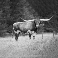 Pete Mitchell (@petemitchell01) 's Twitter Profile Photo