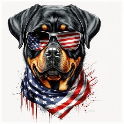 If I’m too MUCH go find LESS 😇Married with 3 beautiful Rotties❤️ #periscope#GodBlessAmerica#Patriot