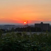 春を待つ者 (@nisemonowahaijo) 's Twitter Profile Photo