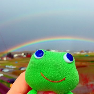 ayudukin's profile picture. 🐸ayuです。2017年9月〜関節リウマチ、2020年子宮頸がん(3C1/リンパ転移)→2025年寛解。2022年RA悪化→シンポニー2本→2024.10アクテムラ（合わず）→2025.1シンポニー2本再開→Ha1c上りステロイド中止