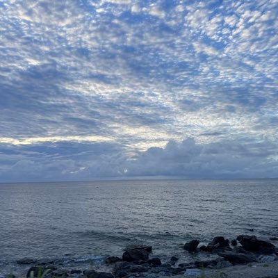 NosaJNG's profile picture. 