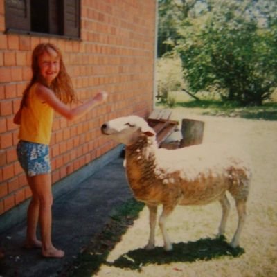 fiz um twitter para os meus amigos pararem de me encher o saco