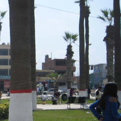 mapswai's profile picture. 