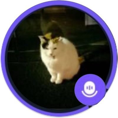 MS3565231380532's profile picture. エコーチェンバー・フィルター・バブル・確証バイアス！トライアングルに成らぬように気をつけるべし松本人志の如く本当に、本当にか？🤷‍♂️漫才は、天丼が常套手段やねん➰やねん➰やねん➰やねん➰！これからも松ちゃんを応援しますのでしくよろです🐾👍