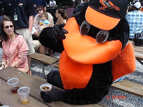 (FAKE) MASCOT OF THE BALTIMORE ORIOLES. ENJOYS DANCING ON DUGOUT. NO AFFILIATION.