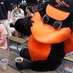 Fake Oriole Bird (@fakeoriolebird) Twitter profile photo